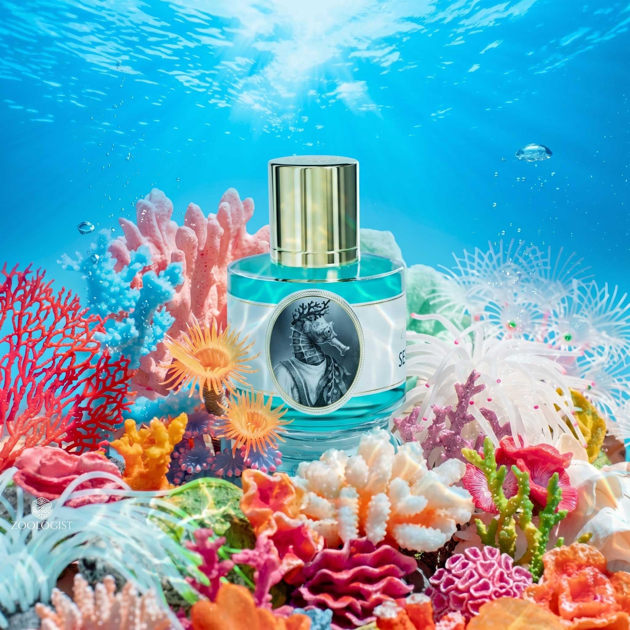 Zoologist Seahorse Deluxe Bottle - Image 3